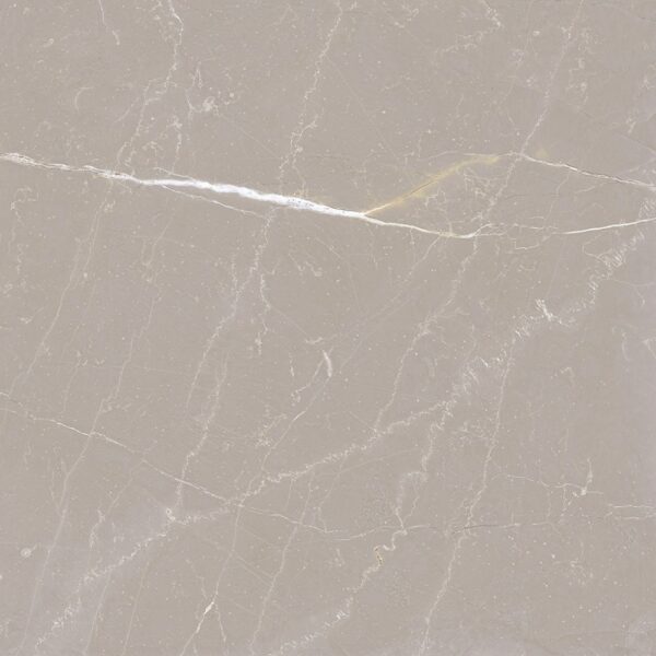 Piso Lef Galileu Gris 54108 54x54 - Image 5