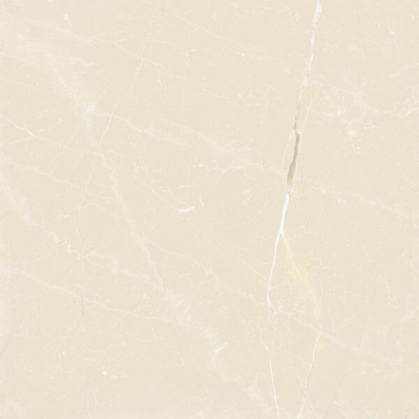 Piso Via Apia Galileu Bege 54x54 - Image 4
